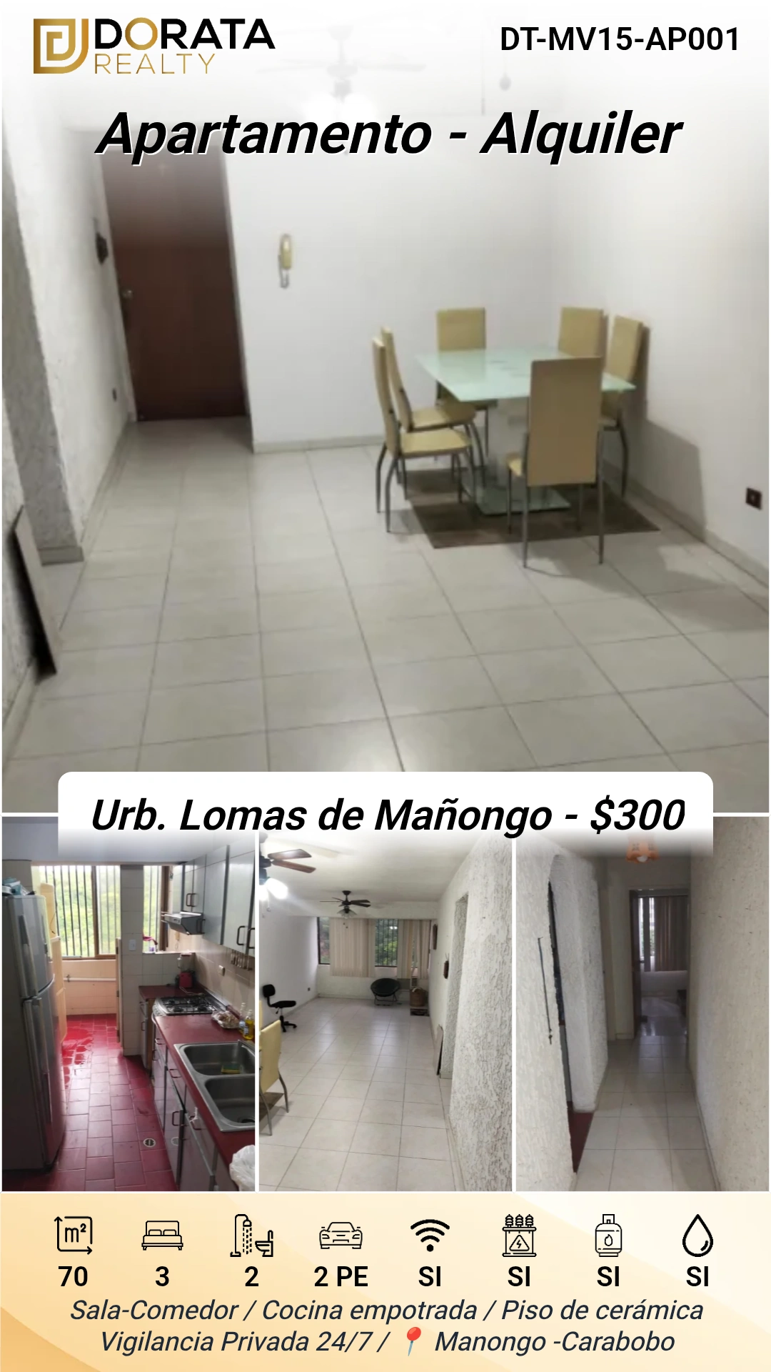 Flyer DT-MV15-AP001